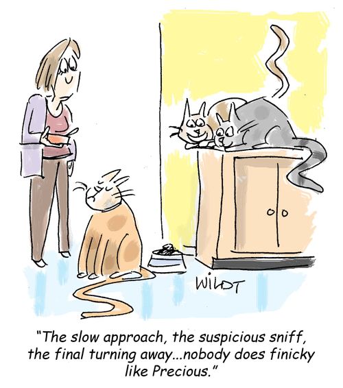 "The slow approach, the suspicious sniff, the final turning away...nobody does finicky like Precious." 