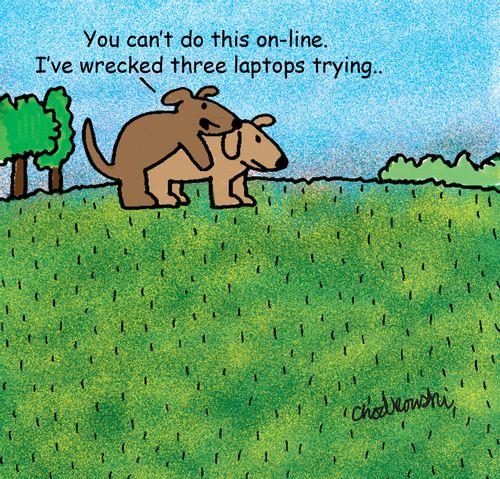 "You can't do this on-line. I've wrecked three laptops trying. . ."