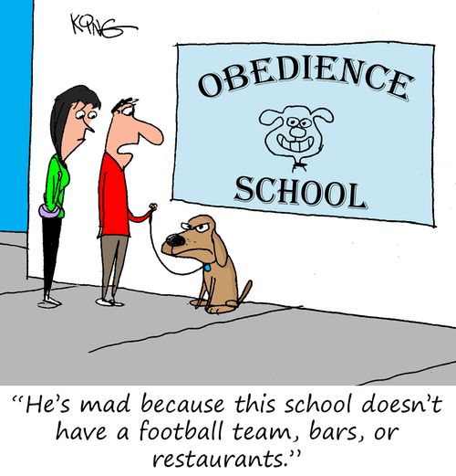 "He's mad because this school doesn't have a football team, bars, or restaurants."