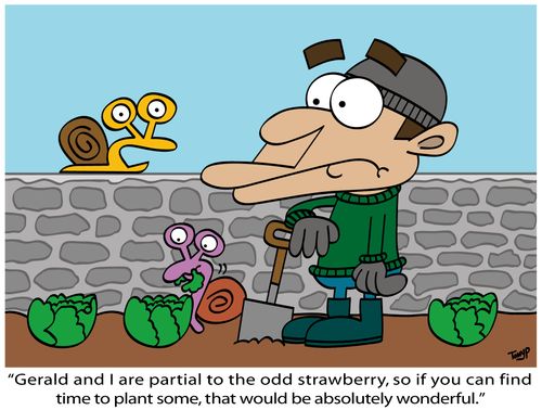 "Gerald and I are partial to the odd strawberry, so if you can find time to plant some, that would be absolutely wonderful."
