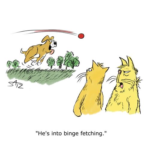 "He's into binge fetching."