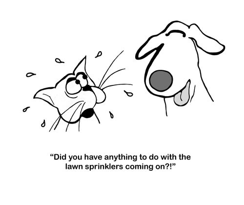 "Did you have anything to do with the lawn sprinklers coming on?!"