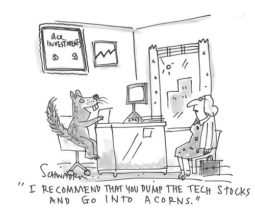 "I recommend that you dump the tech stocks and go into acorns."