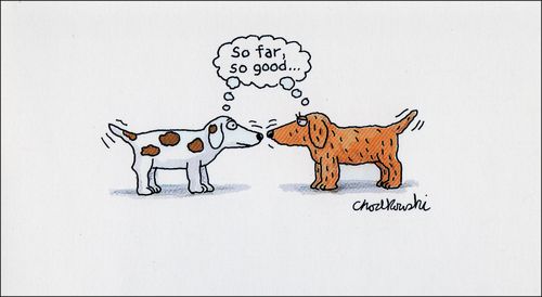 "So far, so good."