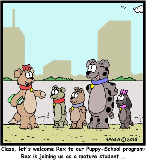 "Class, let's welcome Rex to our Puppy-School program: Rex is joining us as a mature student..."