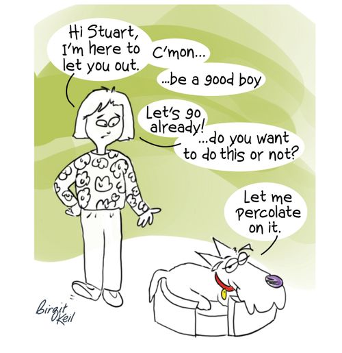 "Hi, Stuart, I"m here to let you out..."