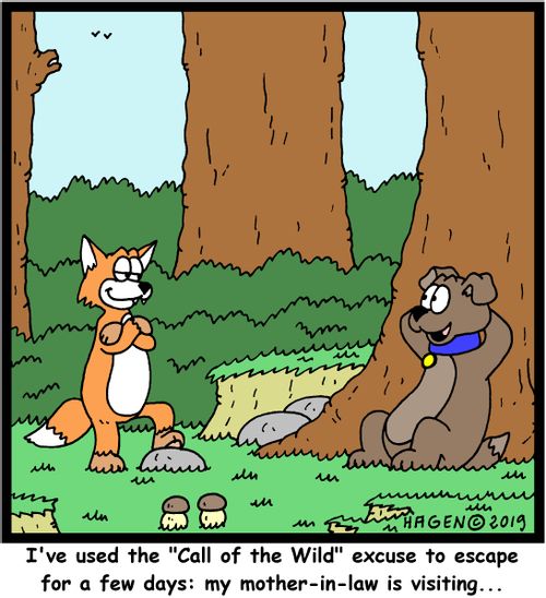 "I've used the "Call of the Wild" excuse to escape for a few days: my mother-in-law is visiting..."