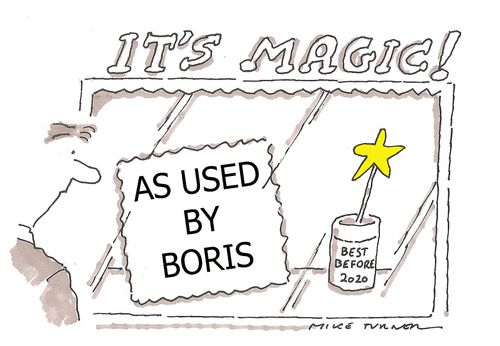 Boris and his Magic Wand