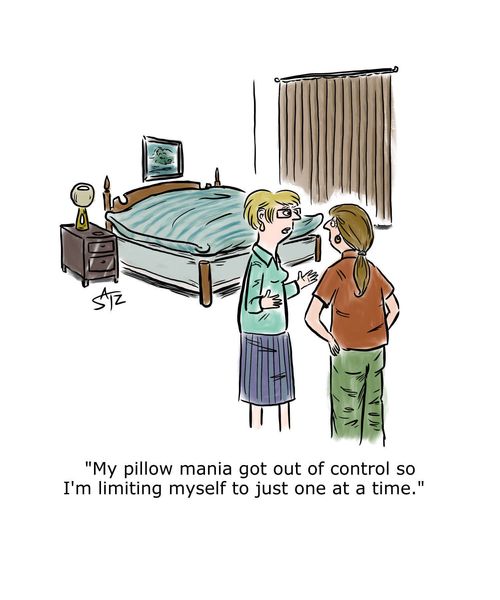 "My pillow mania got out of control so I'm limiting myself to just one at a time."