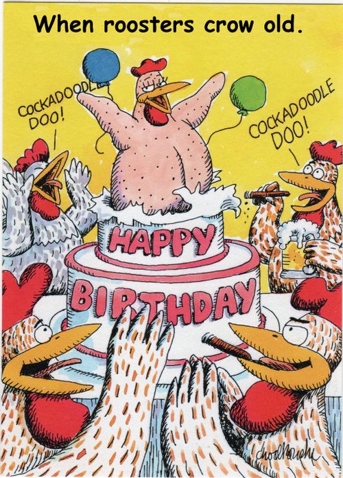 Roosters Crowing Older