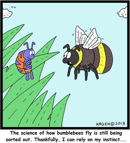 "The science of how bumblebees fly is still being sorted out. Thankfully, I can rely on my instinct..."