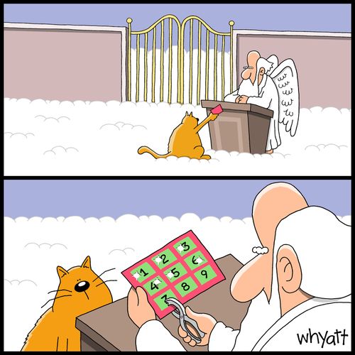 Frequent Visitor