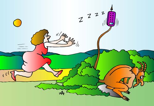 Mobile Lure