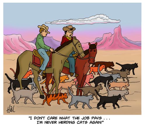 "I don't care what the job pays. . . I'm never herding cats again!"