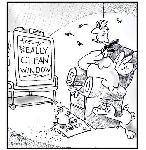 The Really Clean Window