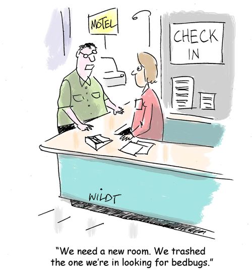 "We need a new room. We trashed the one we're in looking for bedbugs."