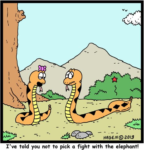 "I've told you not to pick a fight with the elephant!"