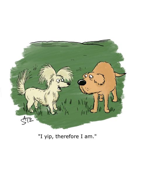 "I yip, therefore I am."