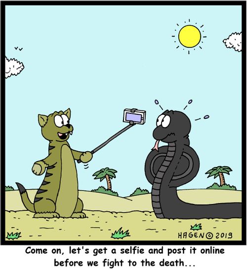 "Come on, let's get a selfie and post it online before we fight to the death..."