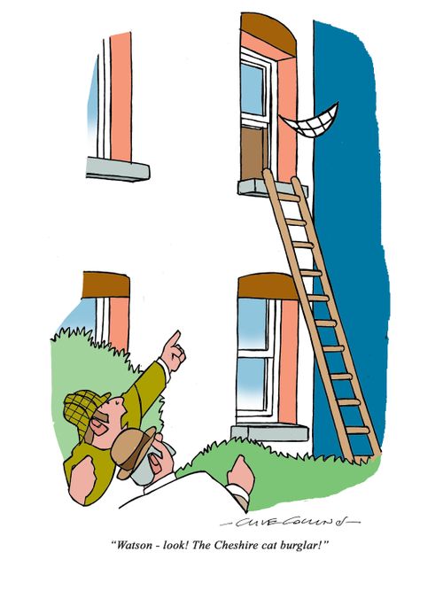"Watson - look! The Cheshire cat burglar!"