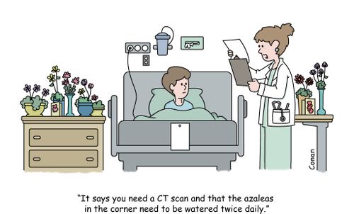 "It says you need a CT scan and that the azaleas in the corner need to be watered twice daily."