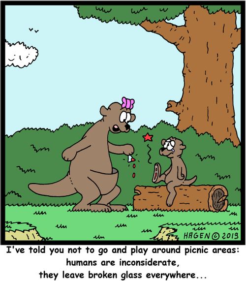 "I've told you not to go and play around picnic areas: humans are inconsiderate, they leave broken glass everywhere..."