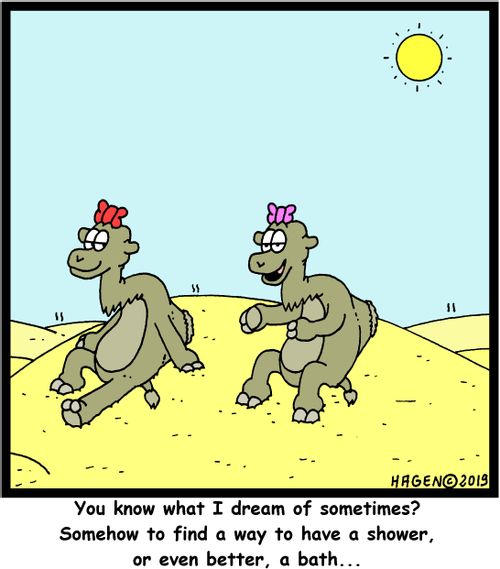 "You know what I dream of sometimes? Somehow to find a way to have a shower, or even better, a bath..."