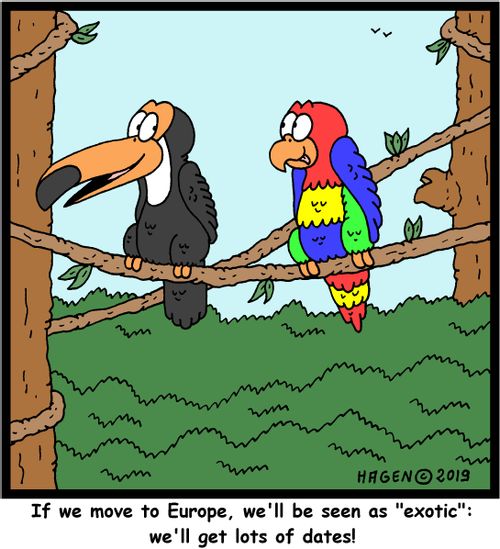 "If we move to Europe, we'll be seen as "exotic": we'll get lots of dates!"
