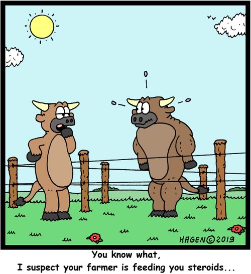 "You know what, I suspect your farmer is feeding you steroids..."