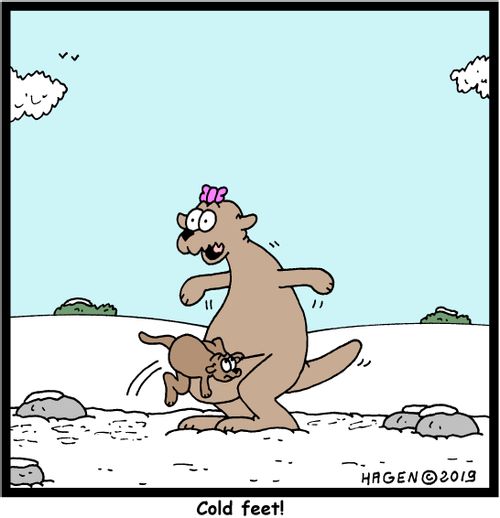 "Cold feet!"