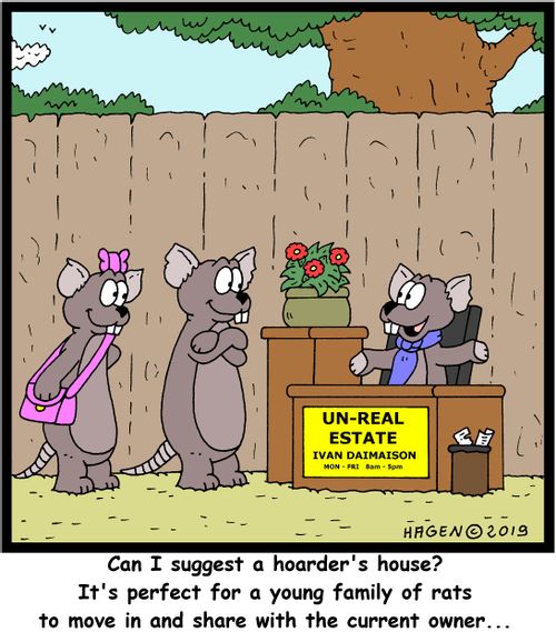 "Can I suggest a hoarder's house? It's perfect for a young family of rats to move in and share with the current owner..."