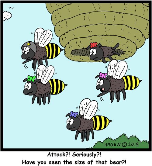 "Attack?! Seriously?! Have you seen the size of that bear?!"