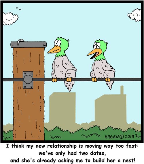 "I think my new relationship is moving way too fast: we've only had two dates, and she's already asking me to build her a nest!"