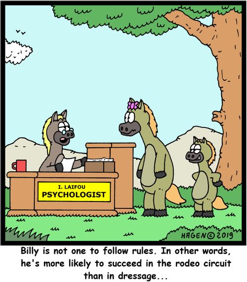 "Billy is not one to follow rules. In other words, he's more likely to succeed in the rodeo circuit then in dressage..."