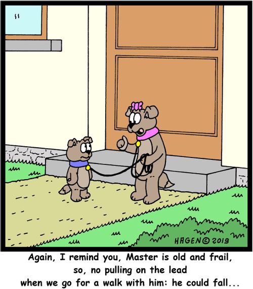 "Again, I remind you, Master is old and frail, so, no pulling on the lead when we go for a walk with him: he could fall..."