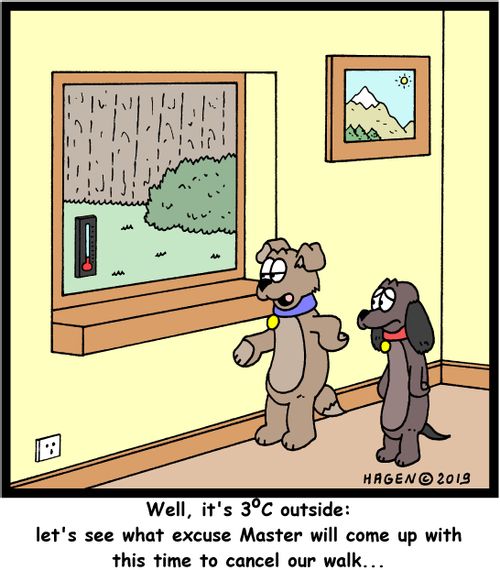 "Well, it's 3 degrees outside: let's see what excuse Master will come up with this time to cancel our walk..."