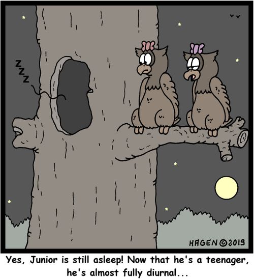 "Yes, Junior is still asleep! Now that he's a teenager, he's almost fully diurnal..."