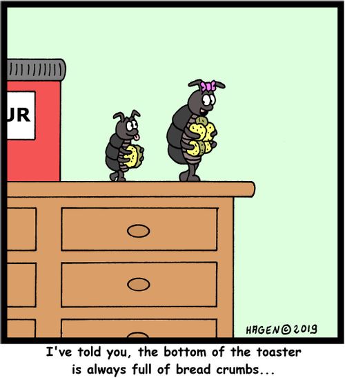 "I've told you, the bottom of the toaster is always full of bread crumbs..."