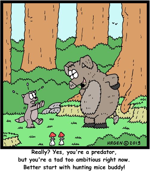 "Really? Yes, you're a predator, but you're a tad too ambitious right now. Better start with hunting mice buddy!"