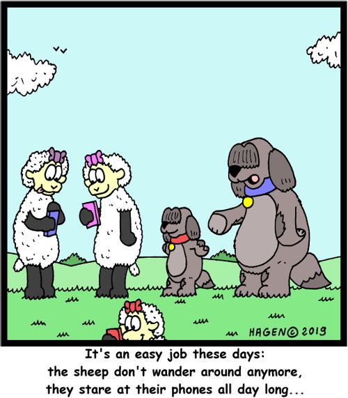 "It's an easy job these days: the sheep don't wander around anymore, they stare at their phones all day long..."