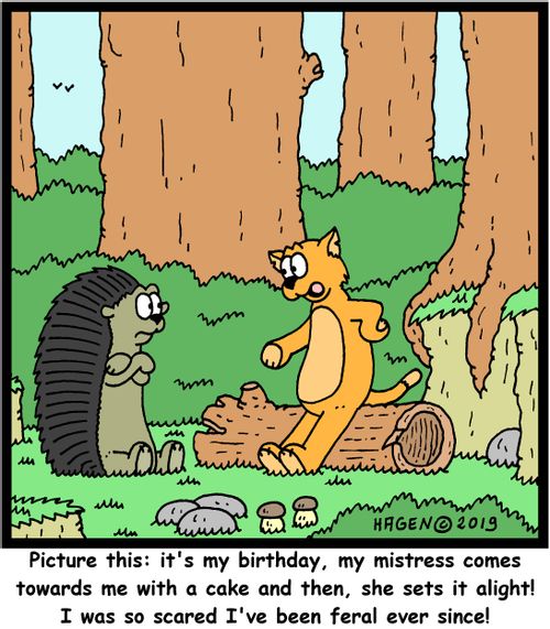 "Picture this: it's my birthday, my mistress comes towards me with a cake and then, she sets it alight! I was so scared I've been feral ever since!"