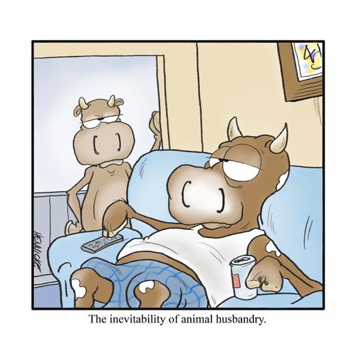 The inevitability of animal husbandry.
