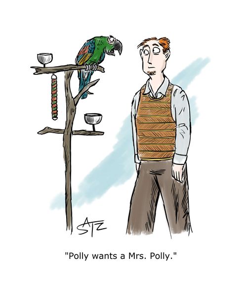 "Polly wants a Mrs. Polly."