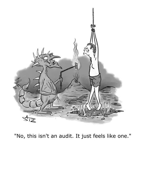 "No, this isn't an audit. It just feels like one."