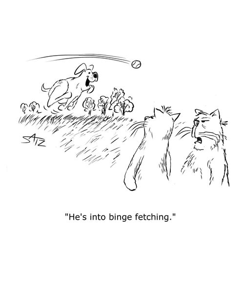 "He's into binge fetching."