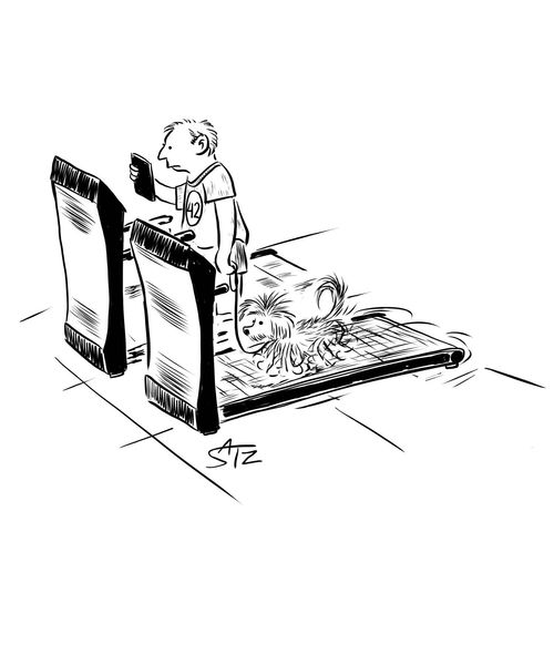 Man walking dog on a treadmill