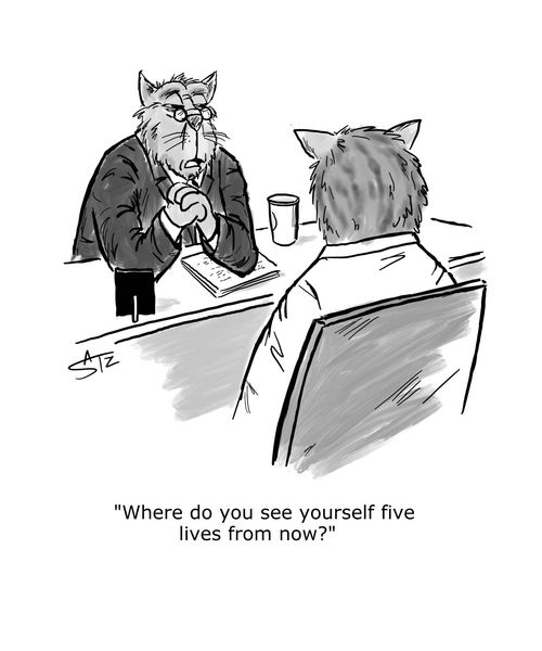 "Where do you see yourself five lives from now?"
