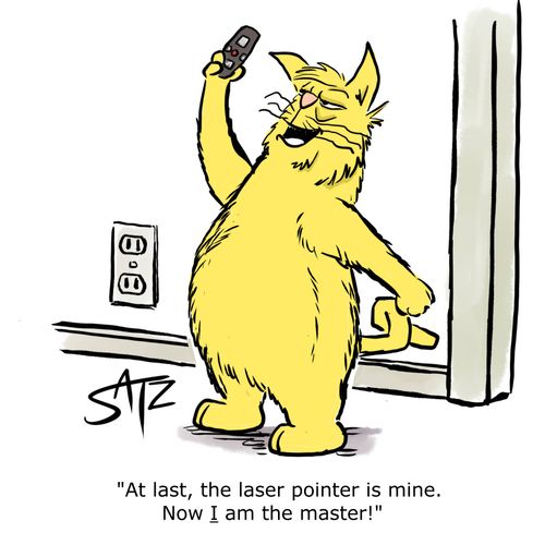 "At last, the laser pointer is mine. Now I am the master."
