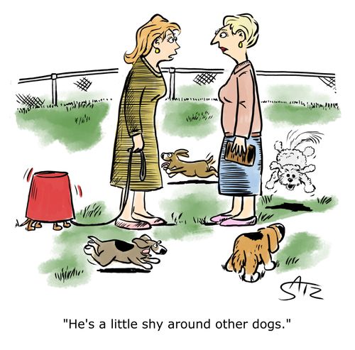 "He's a little shy around other dogs."