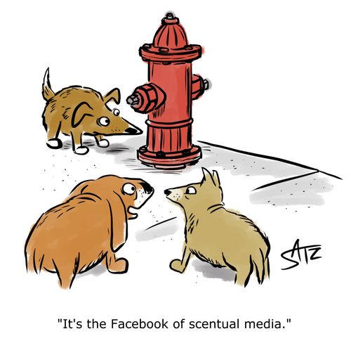 "It's the Facebook of scentual media."